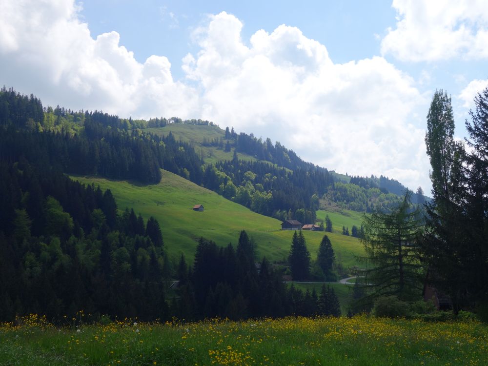 sonniger Berghang
