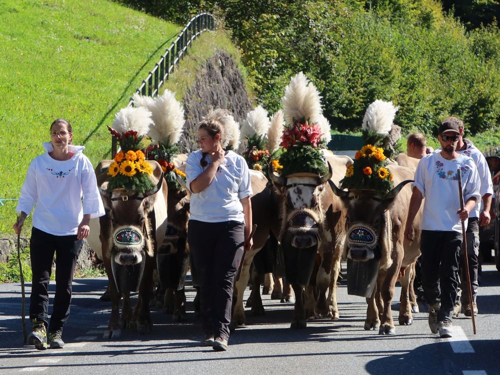 Almabtrieb im Sernftal
