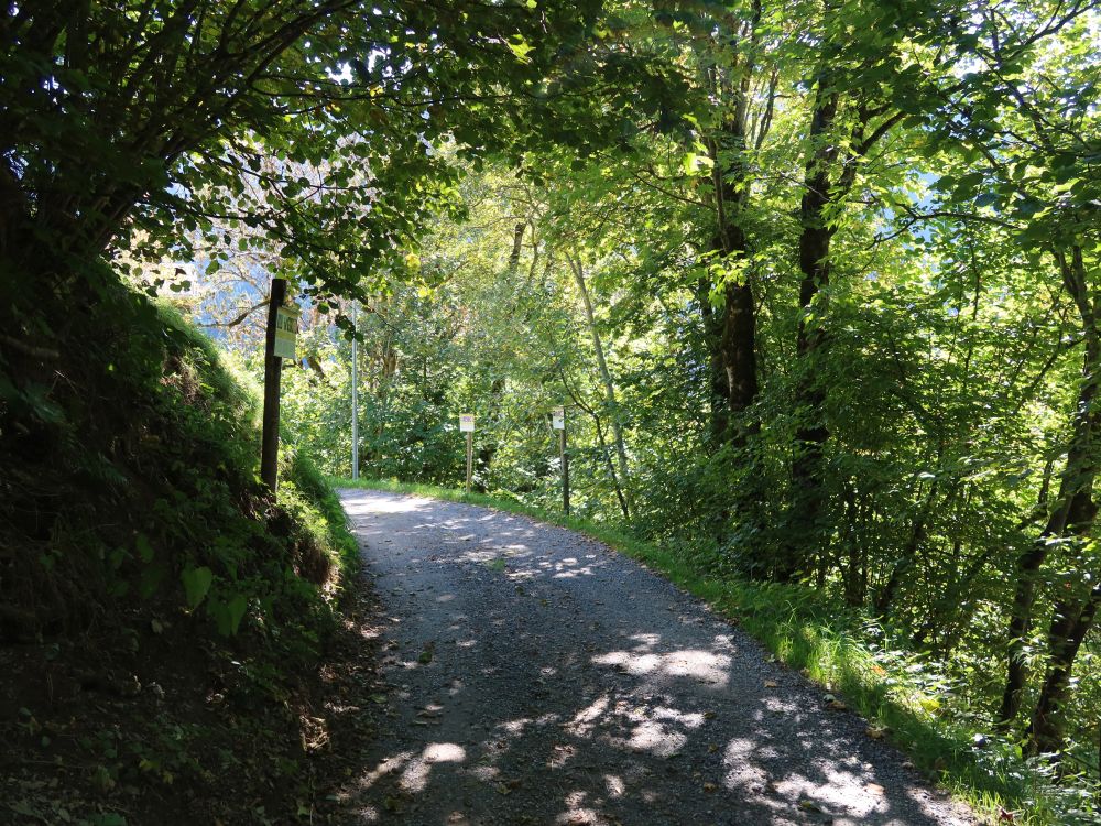 Weg bei Suterheimet