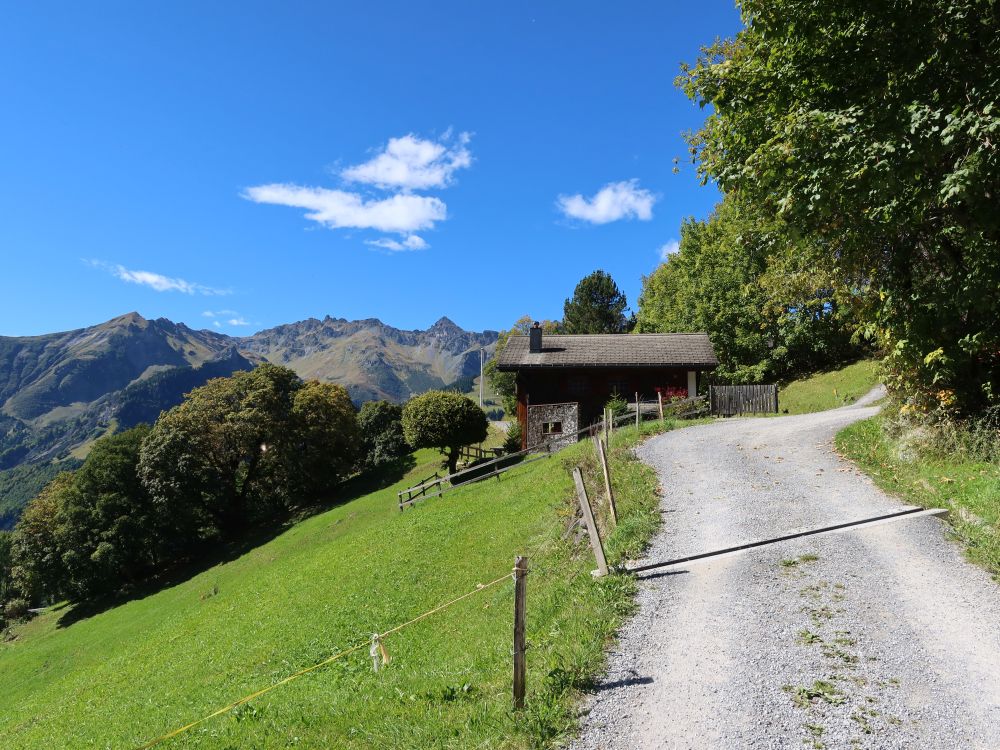Blick Richtung Schafgrindspitz