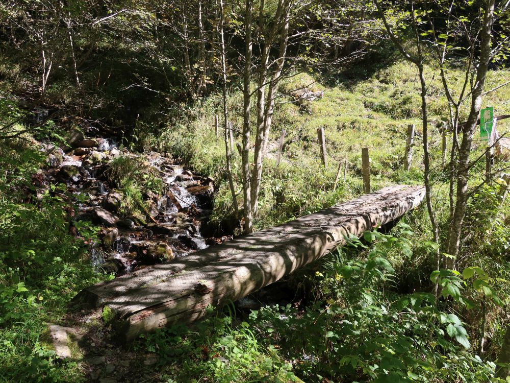 Holzsteg