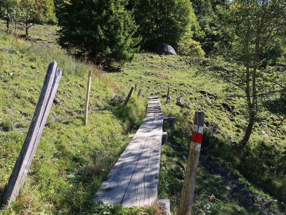 Holzsteg