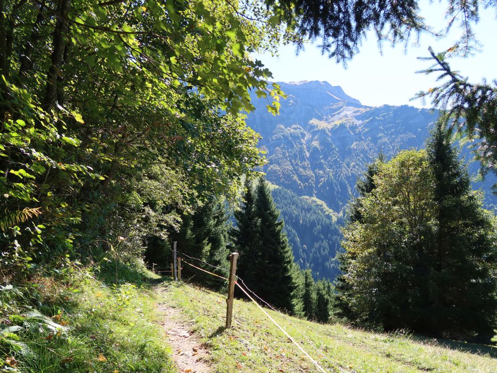 Pfad am Weidezaun
