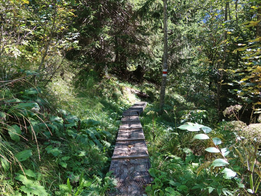 Holzsteg