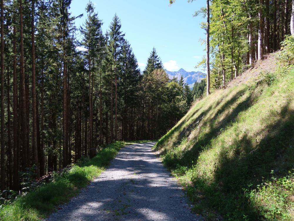 Forstweg