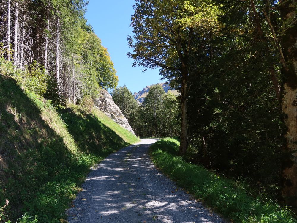 Forstweg
