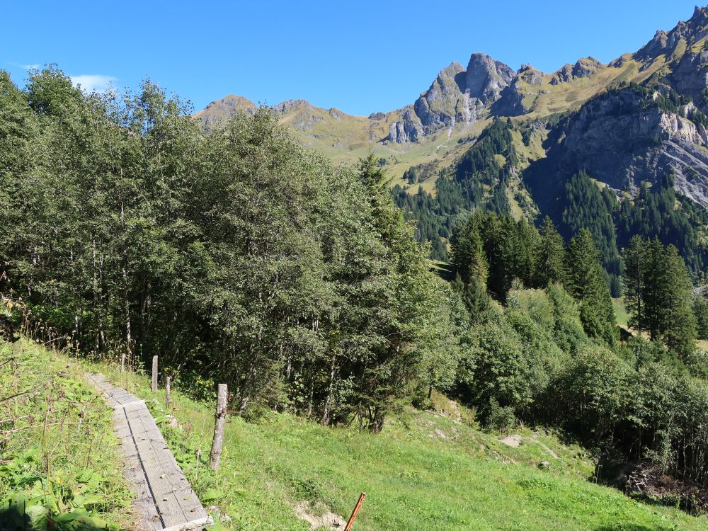 Holzsteg und Risetenhoren