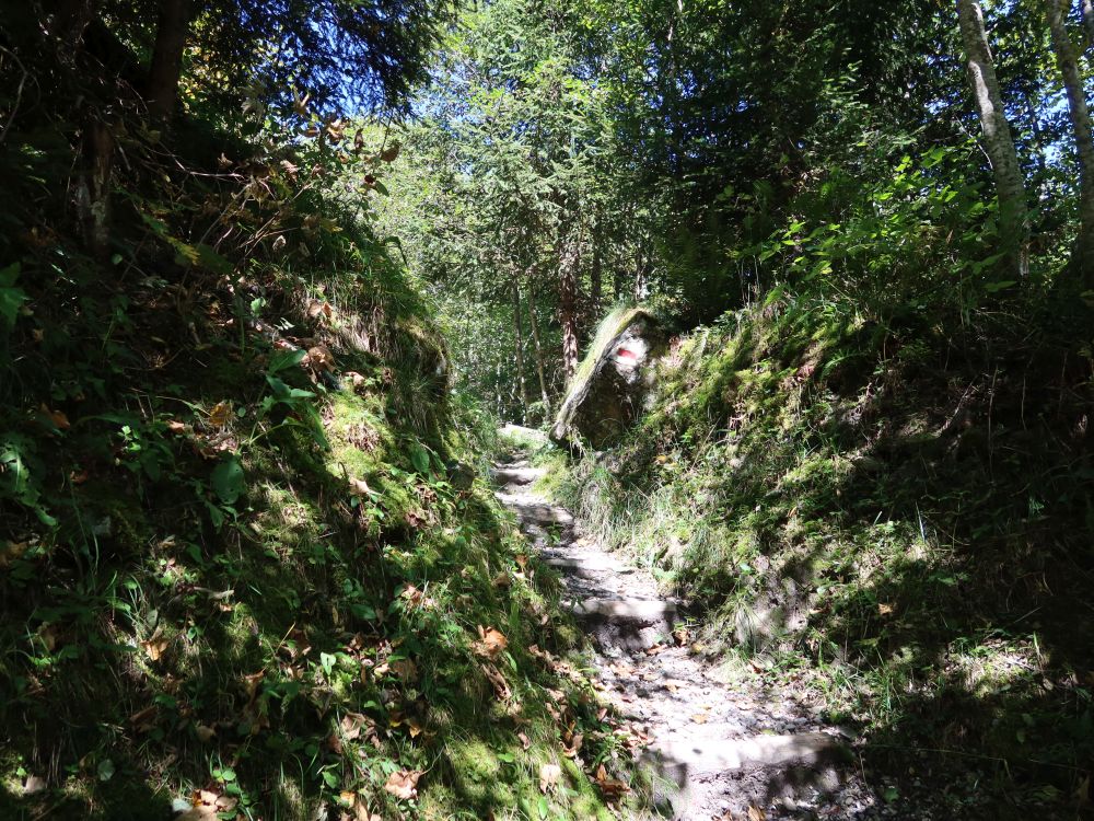 Hohlweg