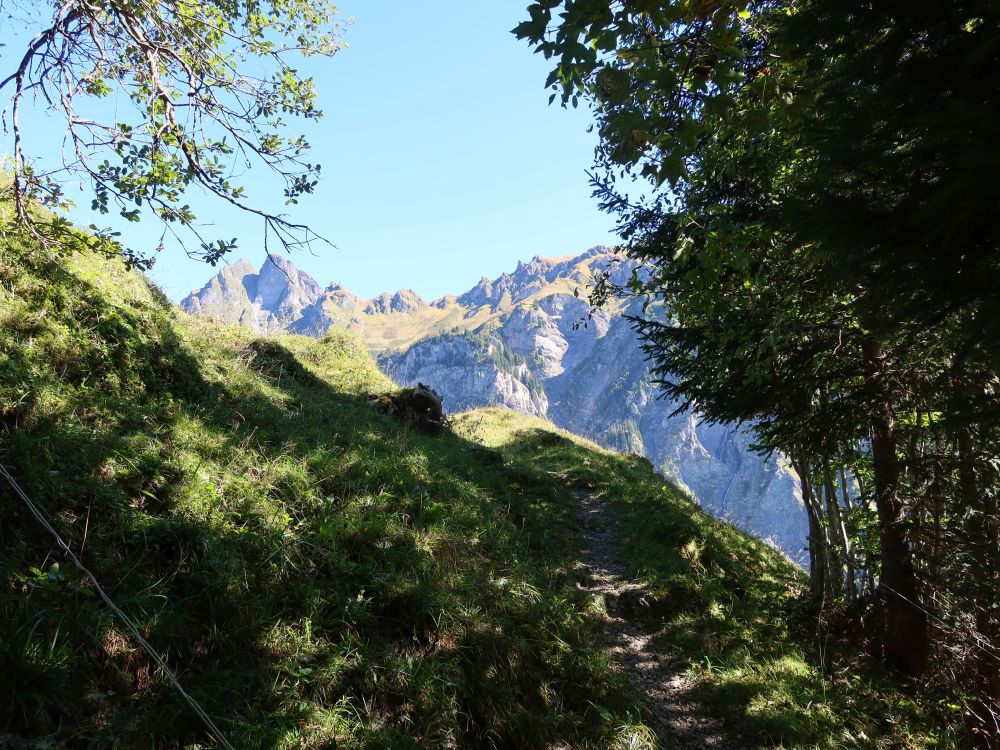 Bergpfad