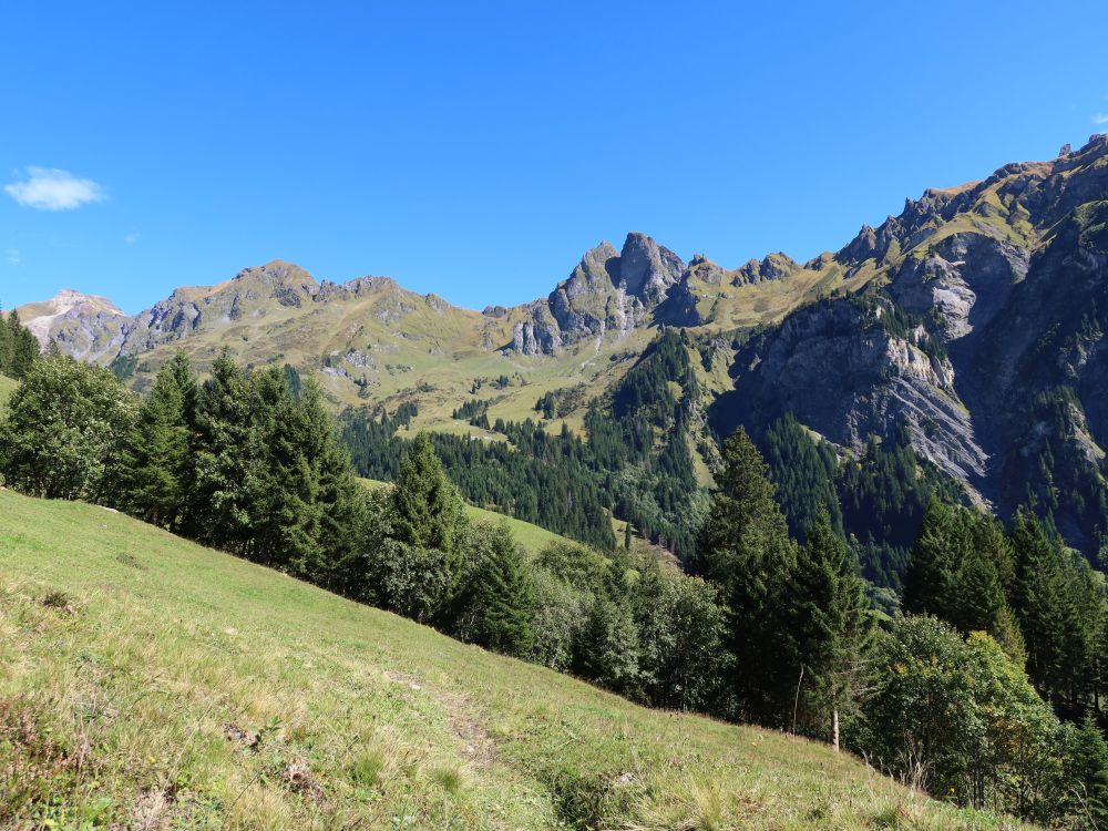 Fulen und Risetenhoren