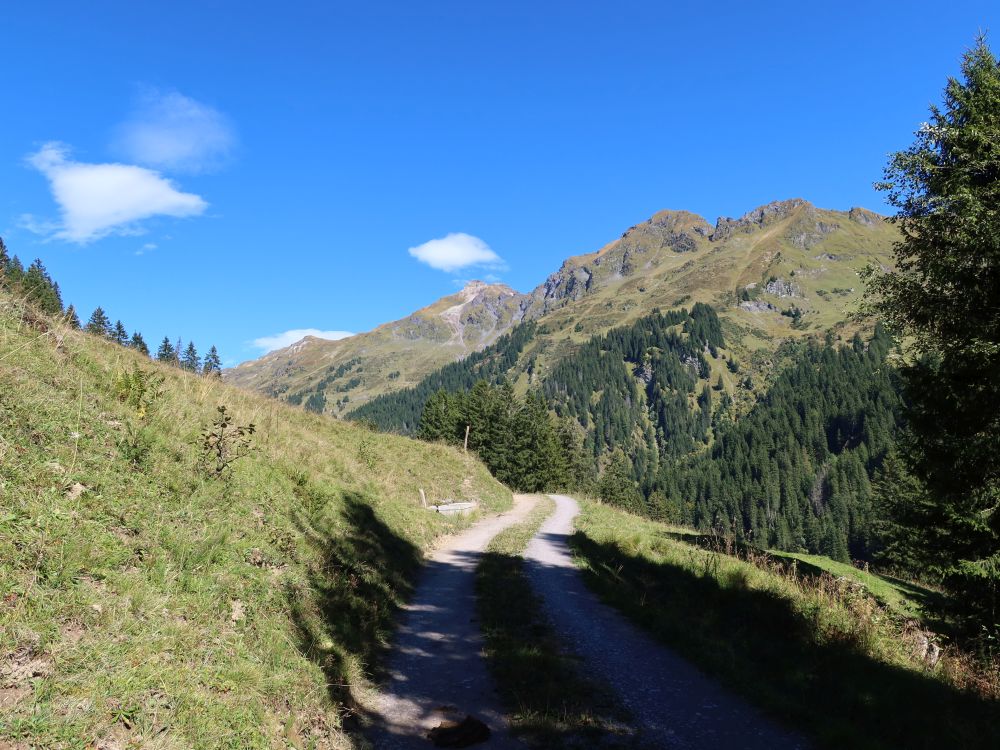 Bergweg mit Wissgandstöckli, Fulen und Hanen