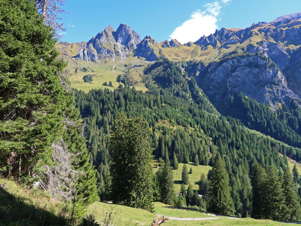 Blick zum Risetenhoren