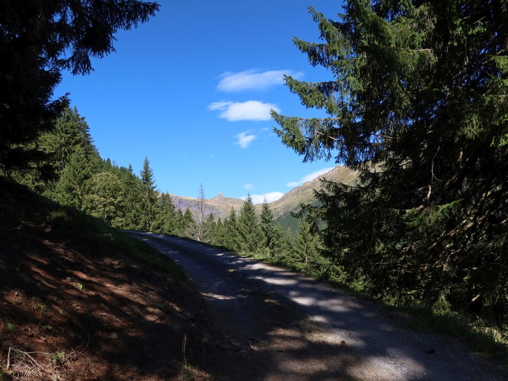 Bergweg