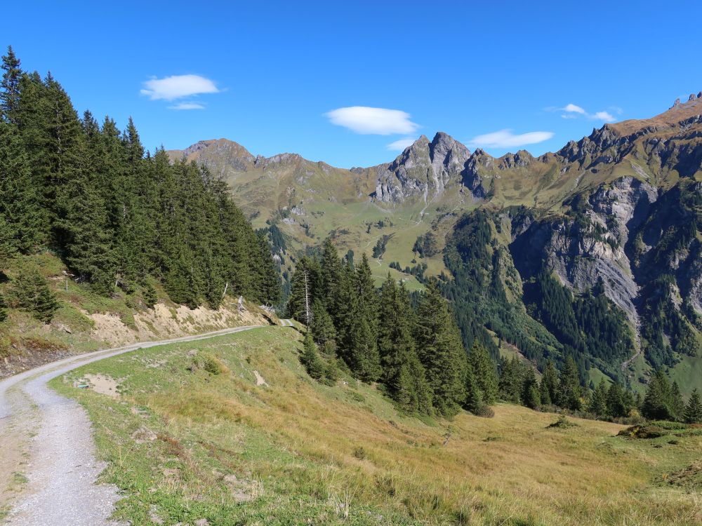 Bergweg mit Fulen und Risetenhoren