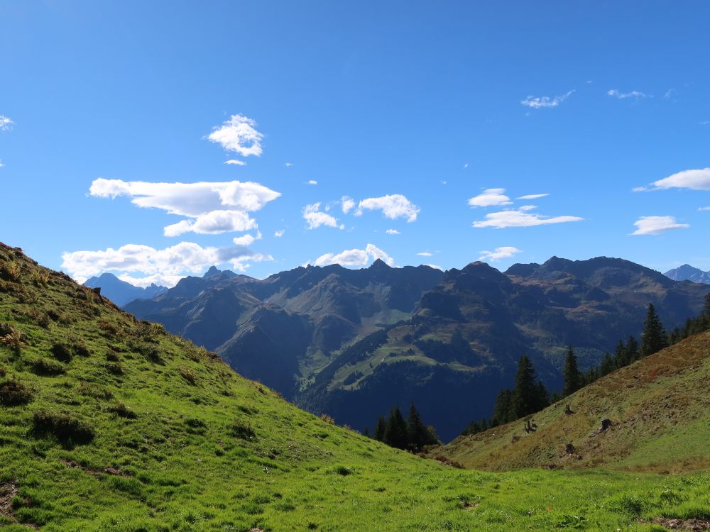 Charenstock in Bildmitte und viele andere