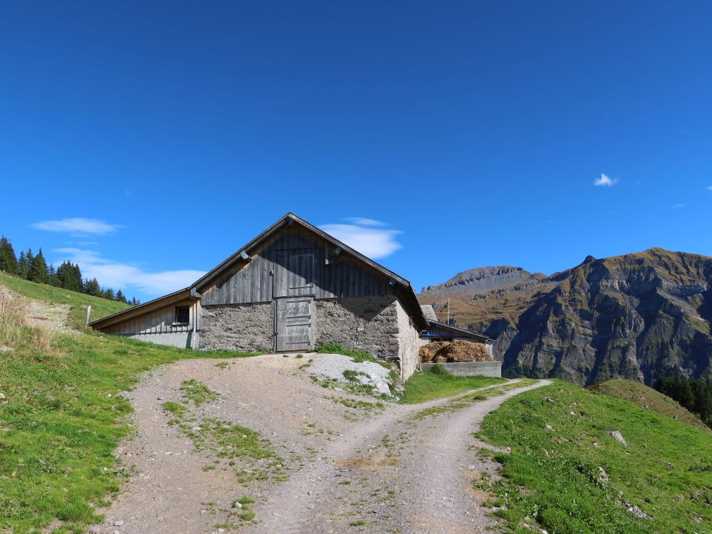 Stall bei Alp Vorderegg