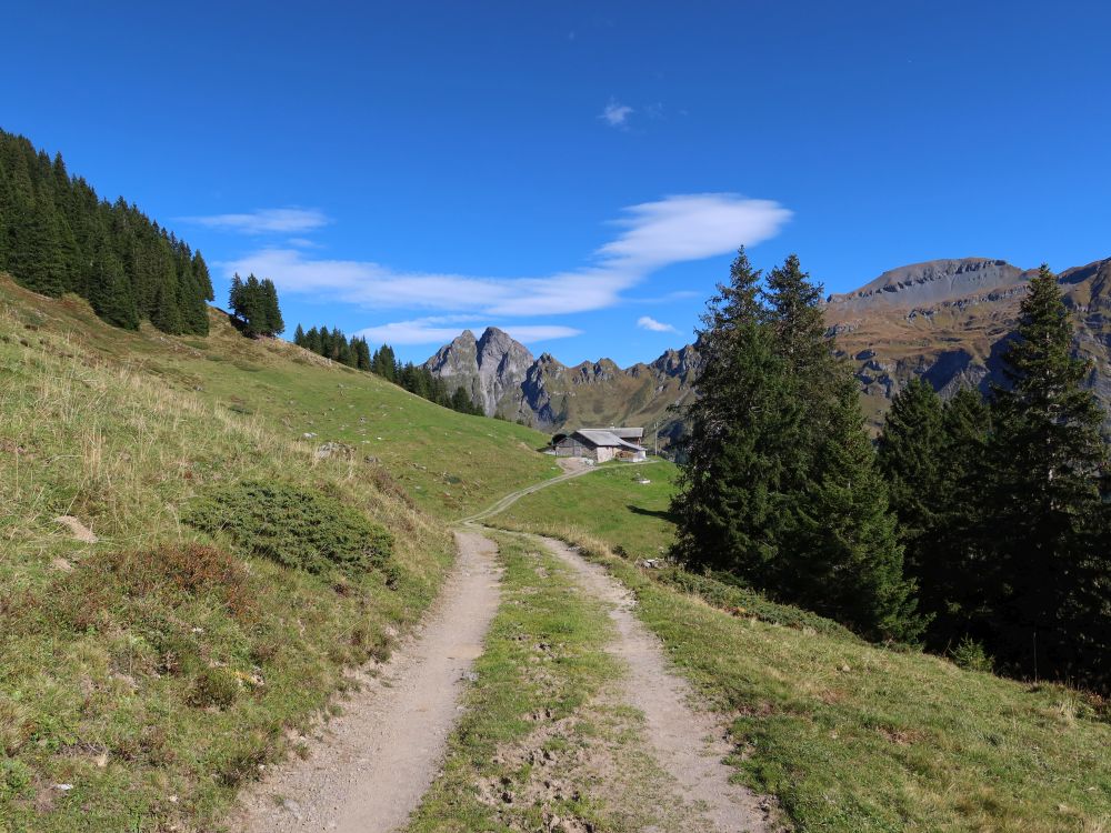 Blick Richtung Vorderegg mit Risetenhoren