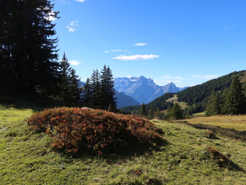 Blick Richtung Glärnisch und Vorder Glärnisch