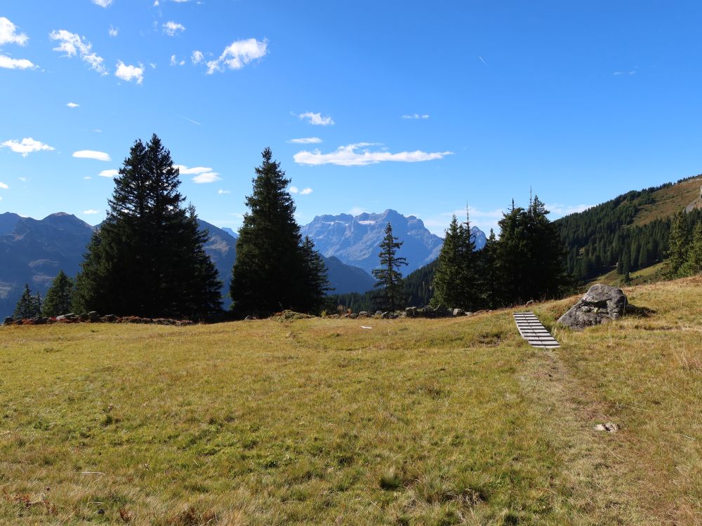 Blick Richtung Glärnisch