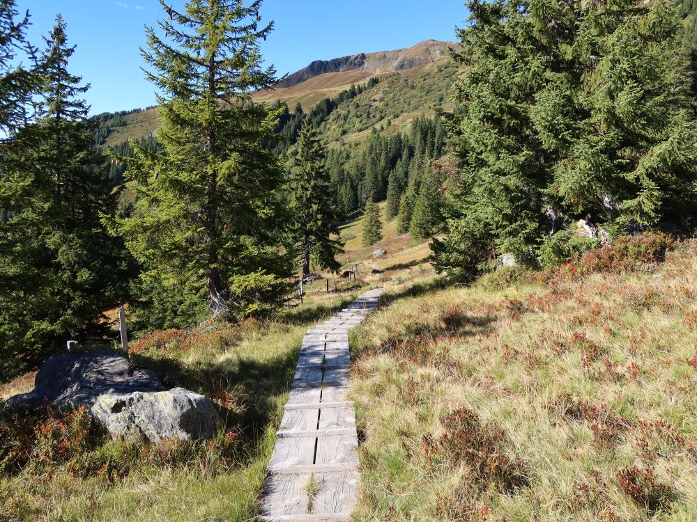 Holzsteg