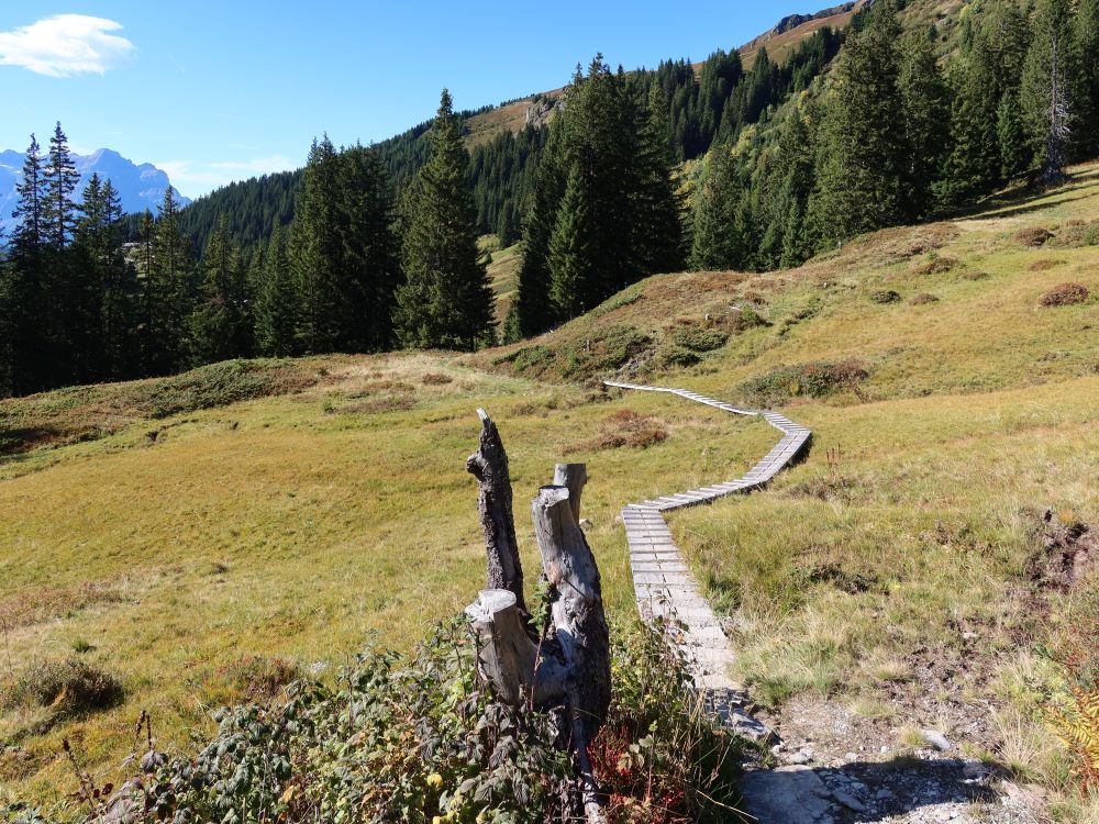 Holzsteg im Fitterenried
