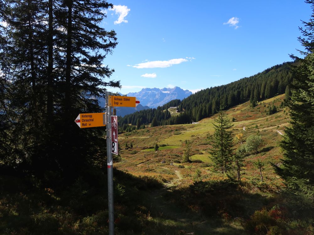 Wanderwegweiser und Glärnisch