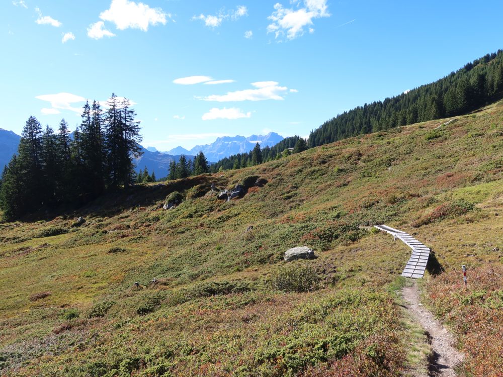 Blick Richtung Glärnisch