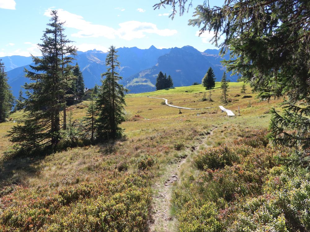 Holzsteg im Längriet