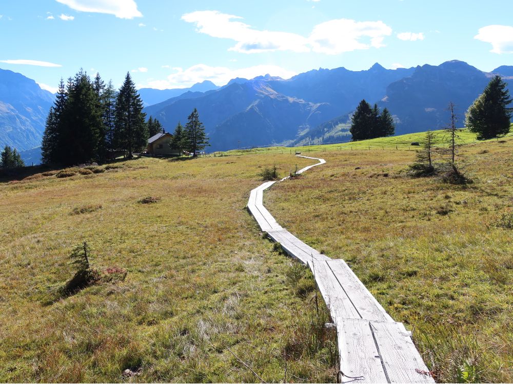 Holzsteg im Längriet