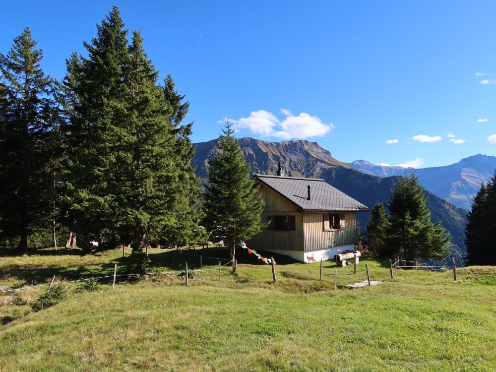 Hütte bei Weiden