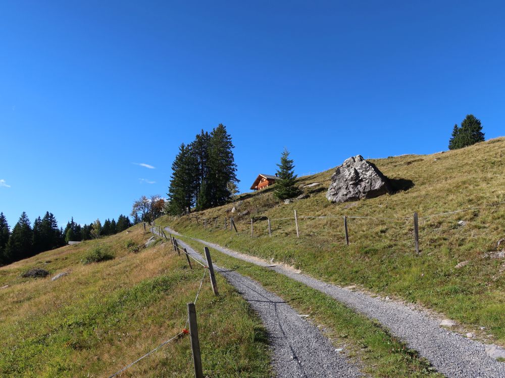 Bergweg unter Weiden