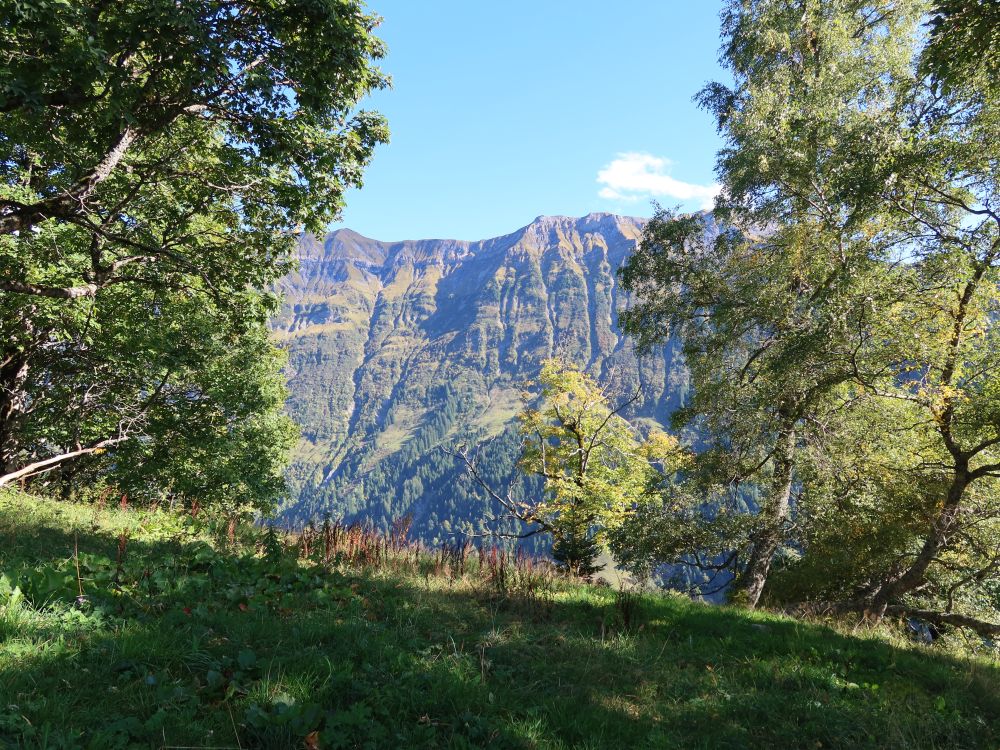 Blick Richtung Plattengrat