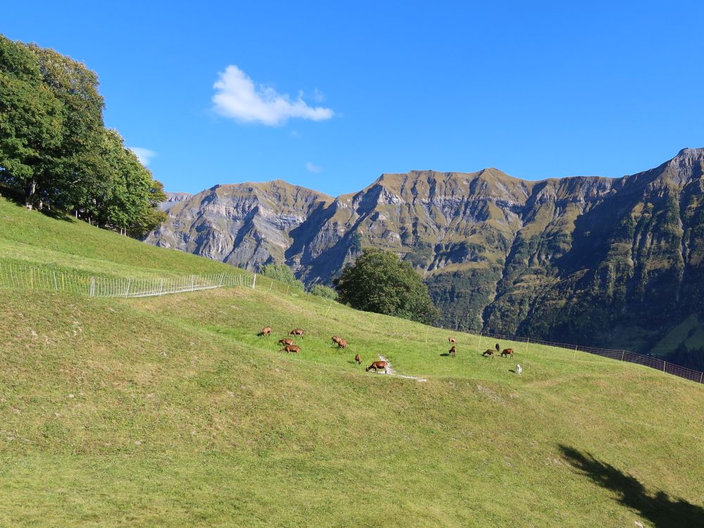 Foostöckli und Grüenenspitz