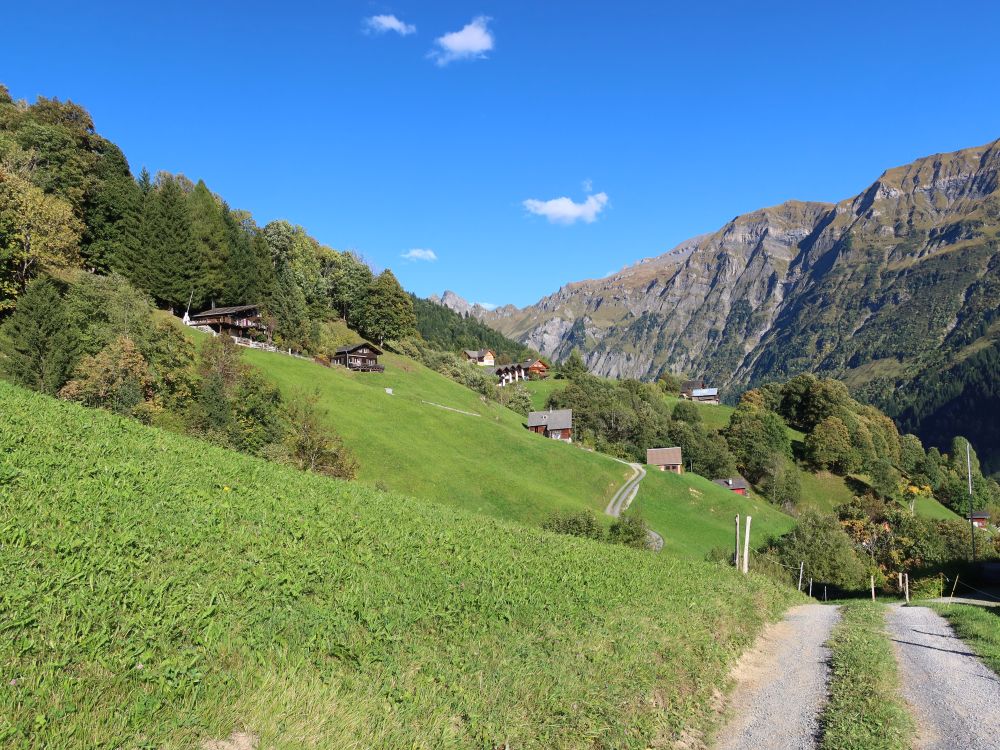 Wölflihoschet