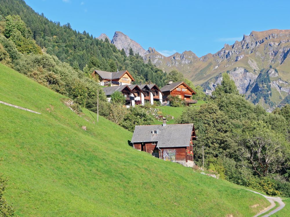 Wölflihoschet