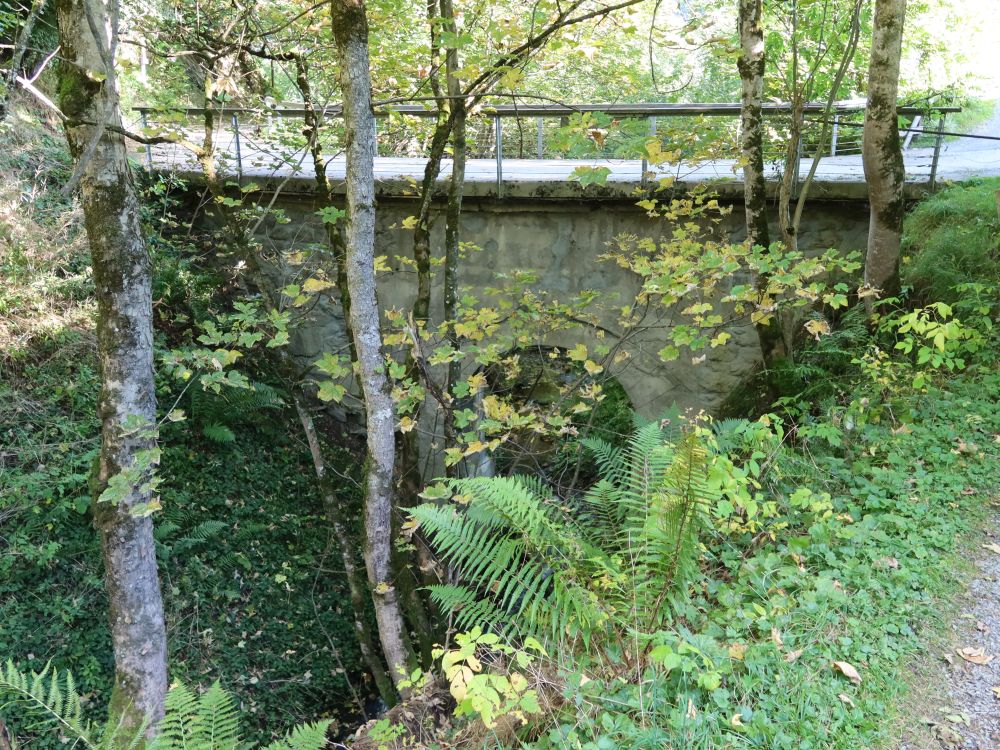 Brücke übern Waldibach