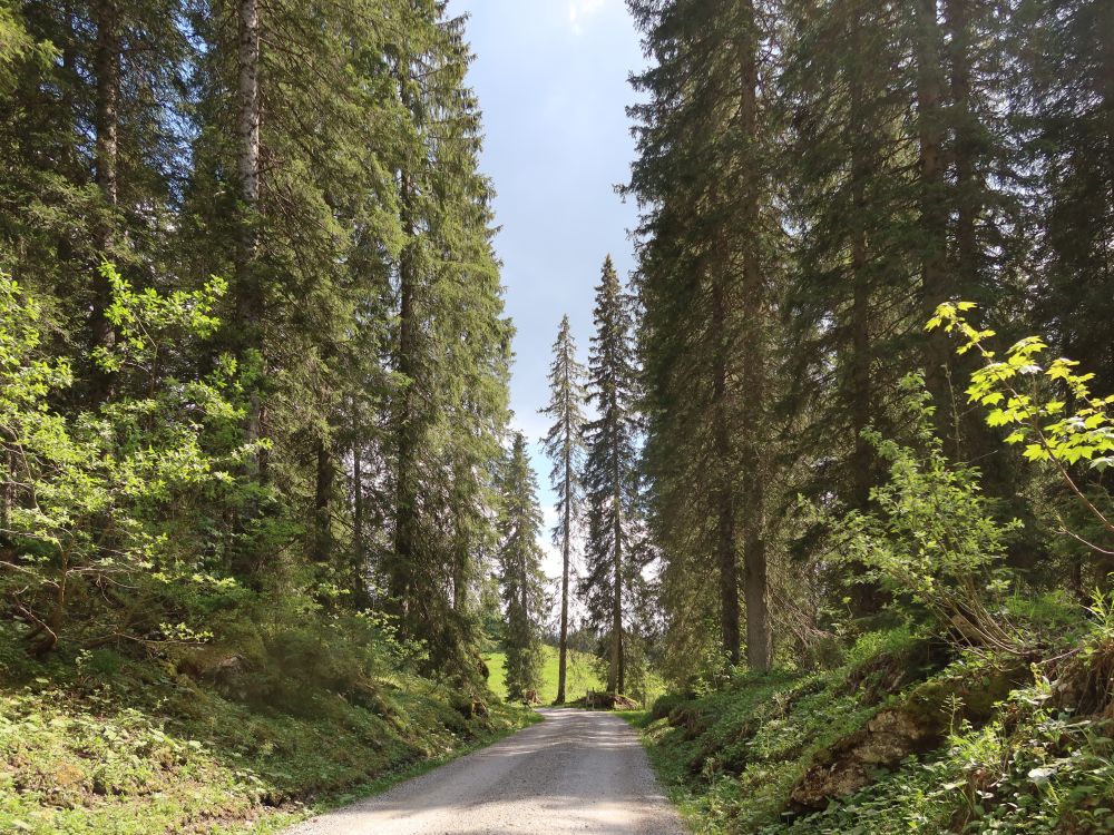 Weg bei Mittenwald