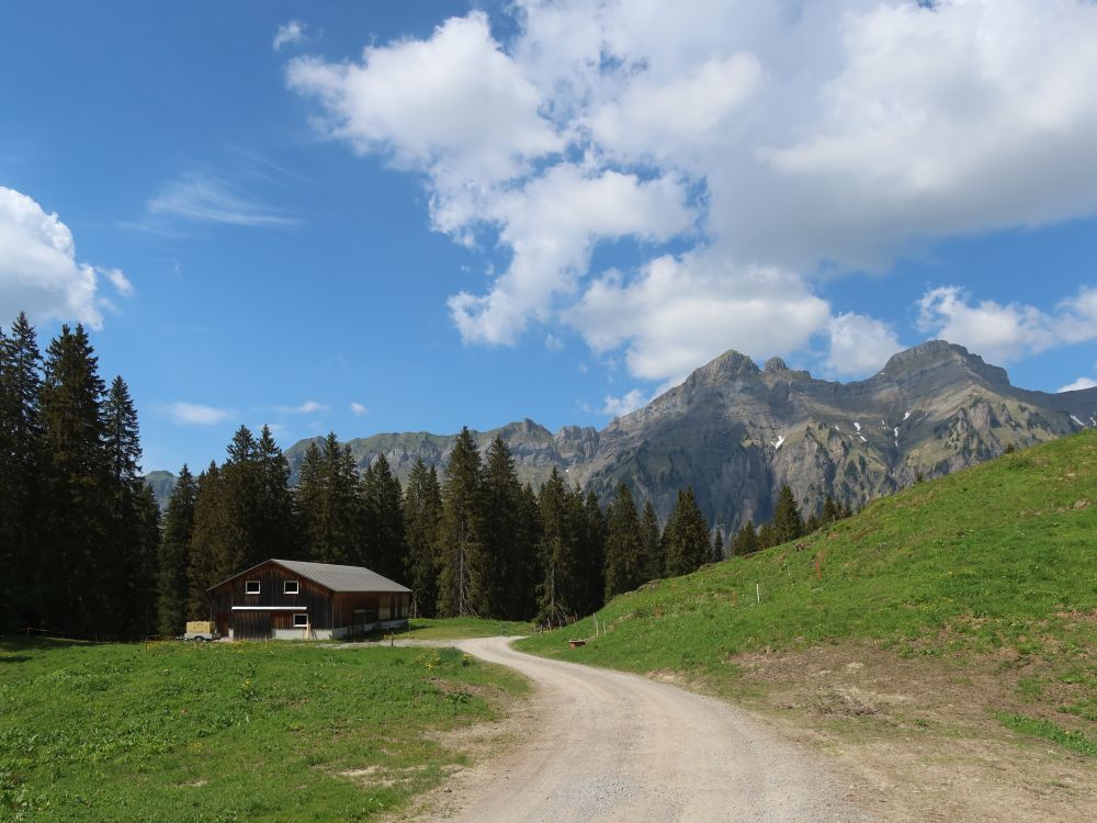 Rasishütte mit Forstberg und Druesberg