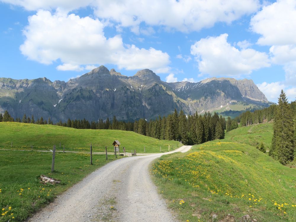 Forstberg, Druesberg und Mieserenstock