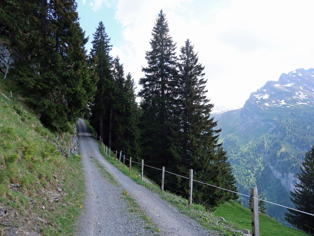 Weg oberhalb Unter Saum