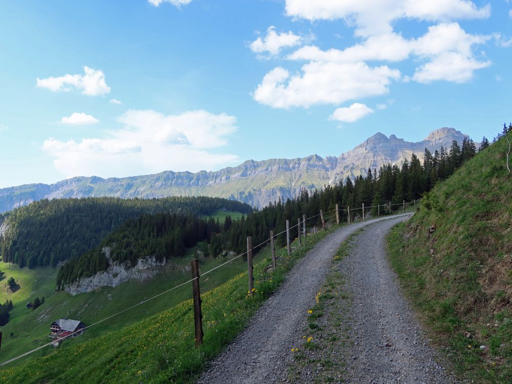Weg oberhalb Unter Saum