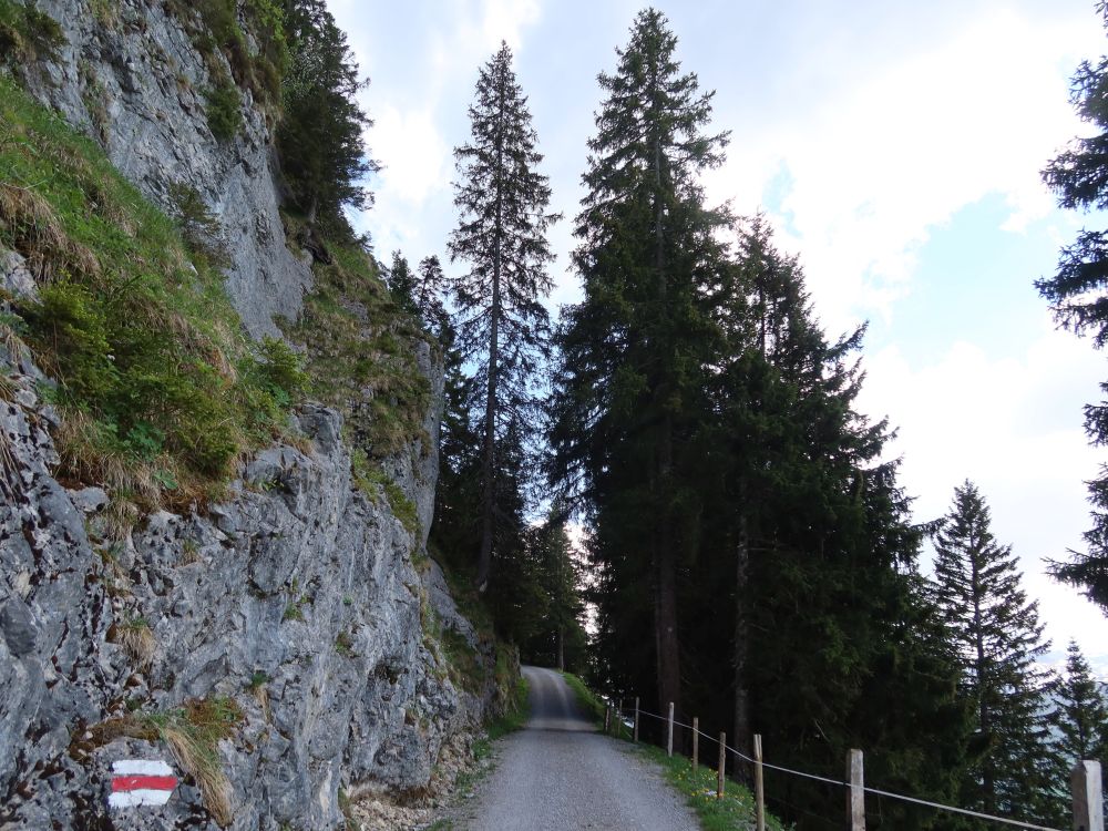 Weg oberhalb Unter Saum