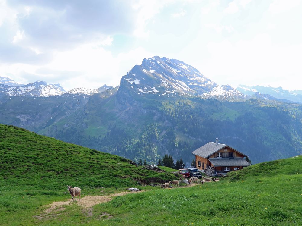Ober Saum und Wasserbergfirst