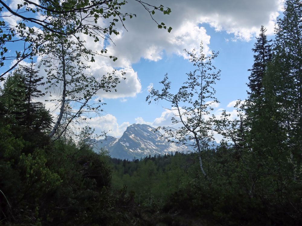 Wasserbergfirst