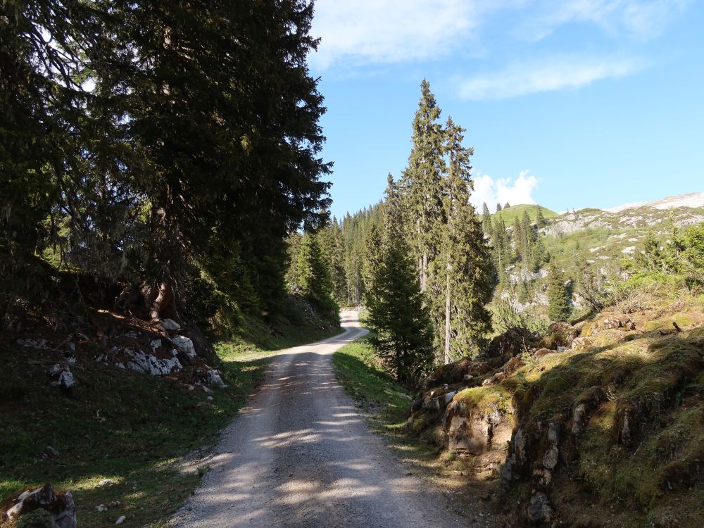 Torstrasse