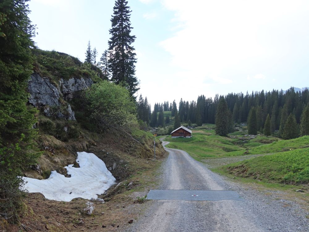 Schneereste an der Torstrasse