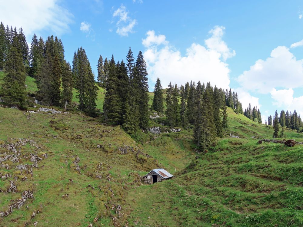 Hütte bei Wolfbüel