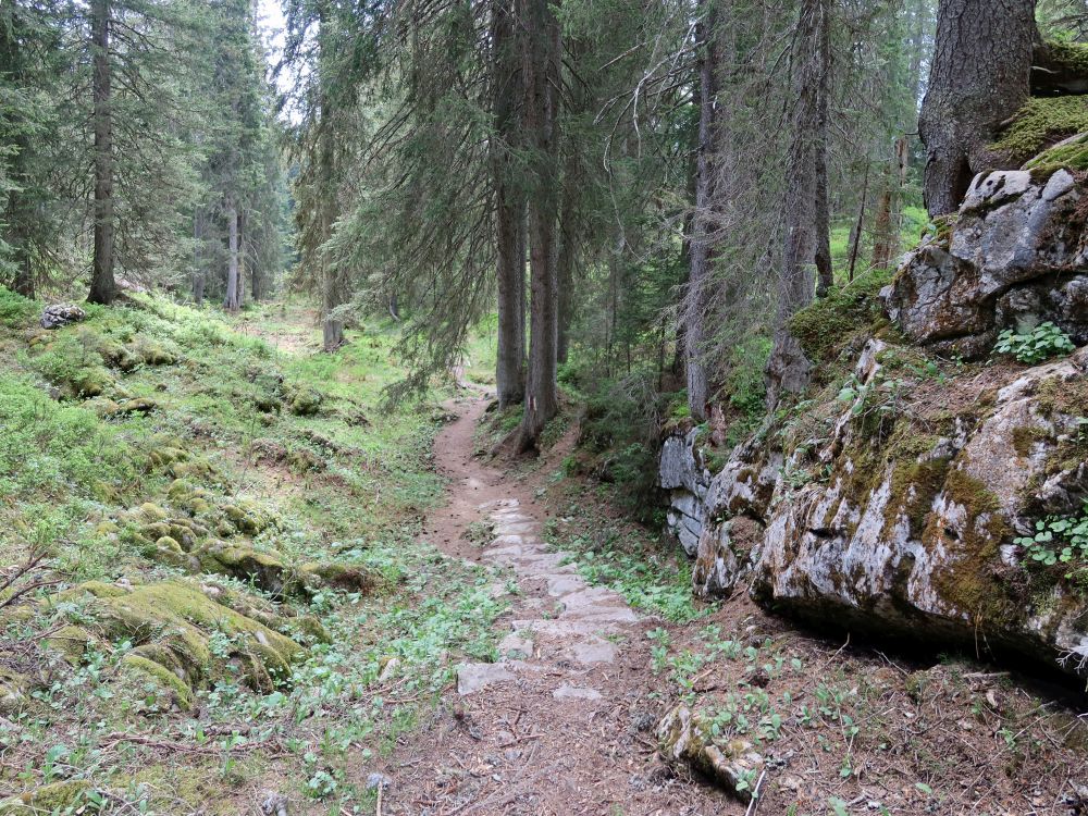 Bergpfad