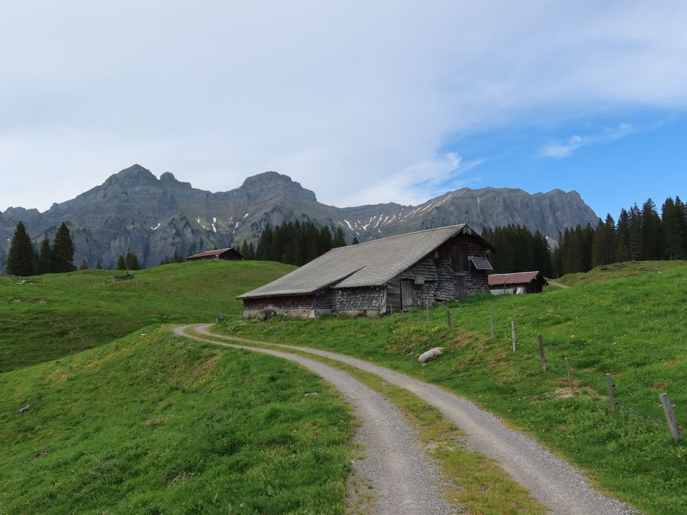 Gschwandhütte mit Forstberg und Druesberg
