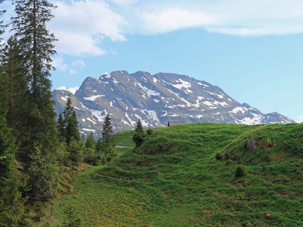 Wasserbergfirst